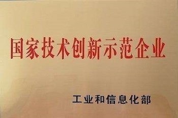 國家技術創新示范企業